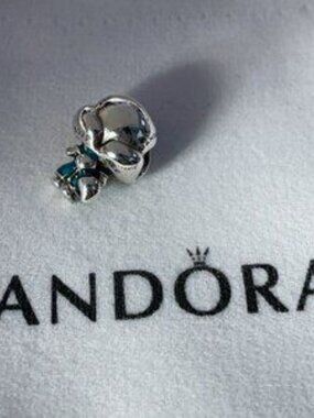 Pandora Disney Aladdin Jasmine Charm